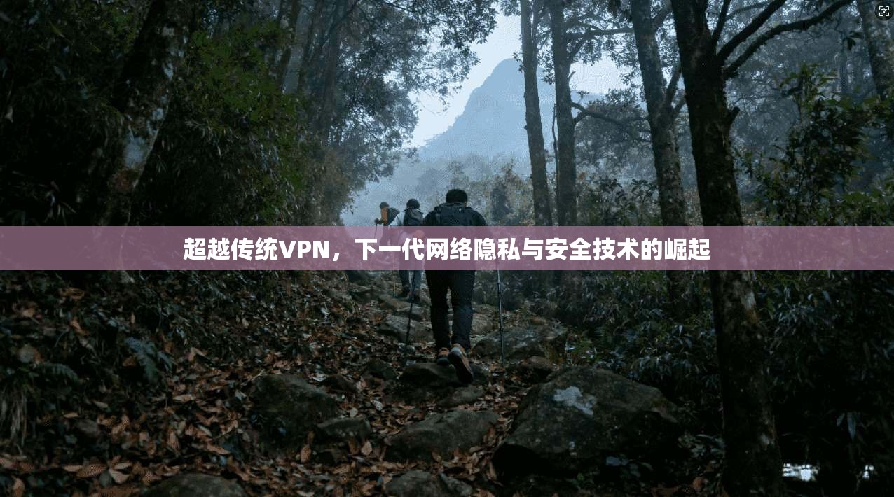 超越传统VPN，下一代网络隐私与安全技术的崛起