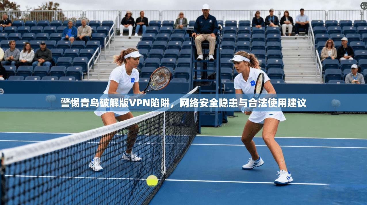 警惕青鸟破解版VPN陷阱，网络安全隐患与合法使用建议
