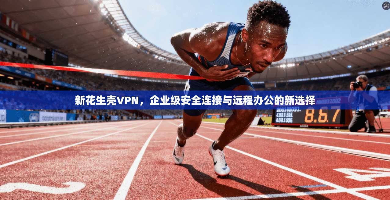 新花生壳VPN，企业级安全连接与远程办公的新选择
