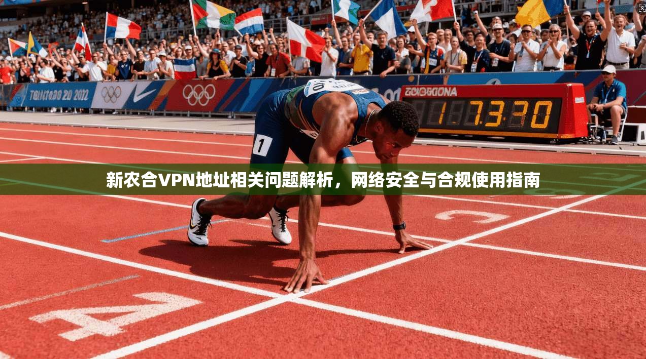 新农合VPN地址相关问题解析，网络安全与合规使用指南