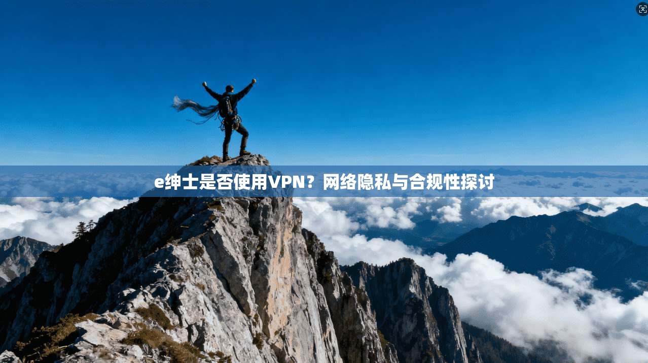 e绅士是否使用VPN？网络隐私与合规性探讨
