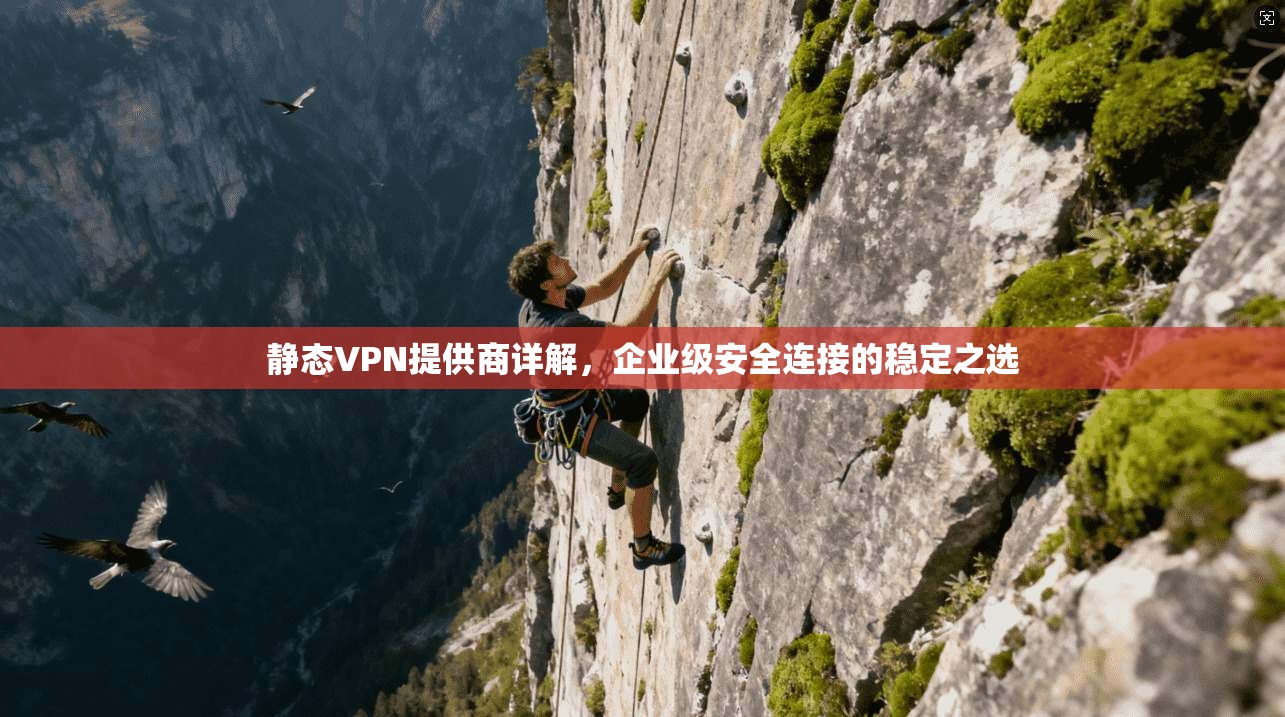 静态VPN提供商详解，企业级安全连接的稳定之选