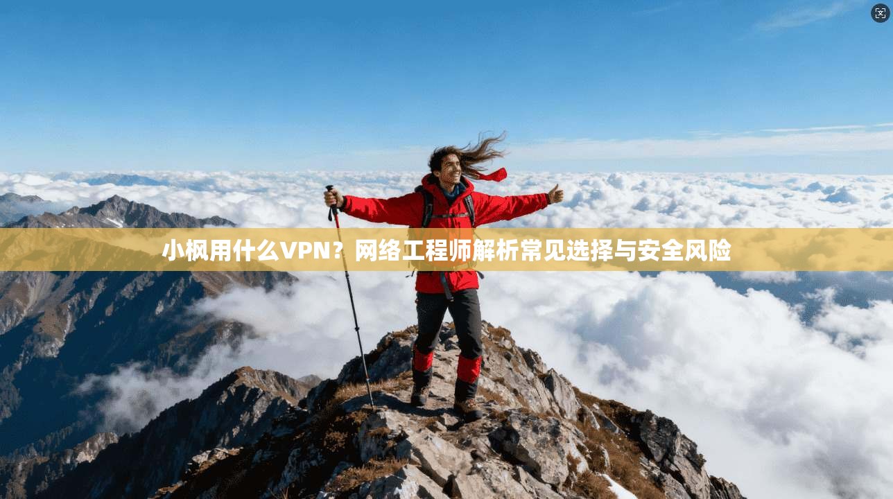 小枫用什么VPN？网络工程师解析常见选择与安全风险