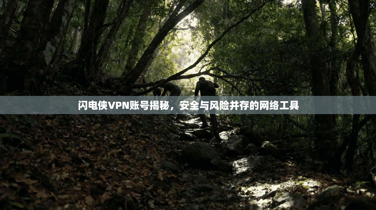 闪电侠VPN账号揭秘，安全与风险并存的网络工具