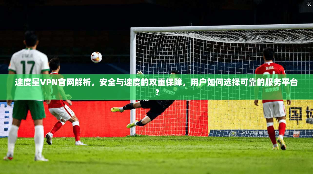 速度星VPN官网解析，安全与速度的双重保障，用户如何选择可靠的服务平台？