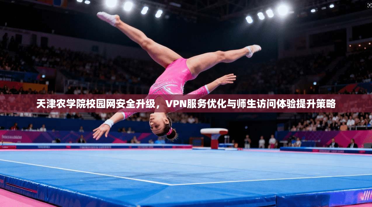 天津农学院校园网安全升级，VPN服务优化与师生访问体验提升策略