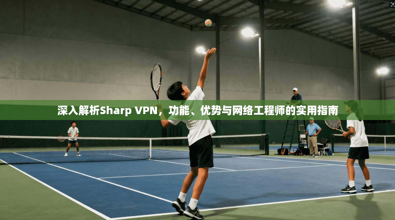 深入解析Sharp VPN，功能、优势与网络工程师的实用指南