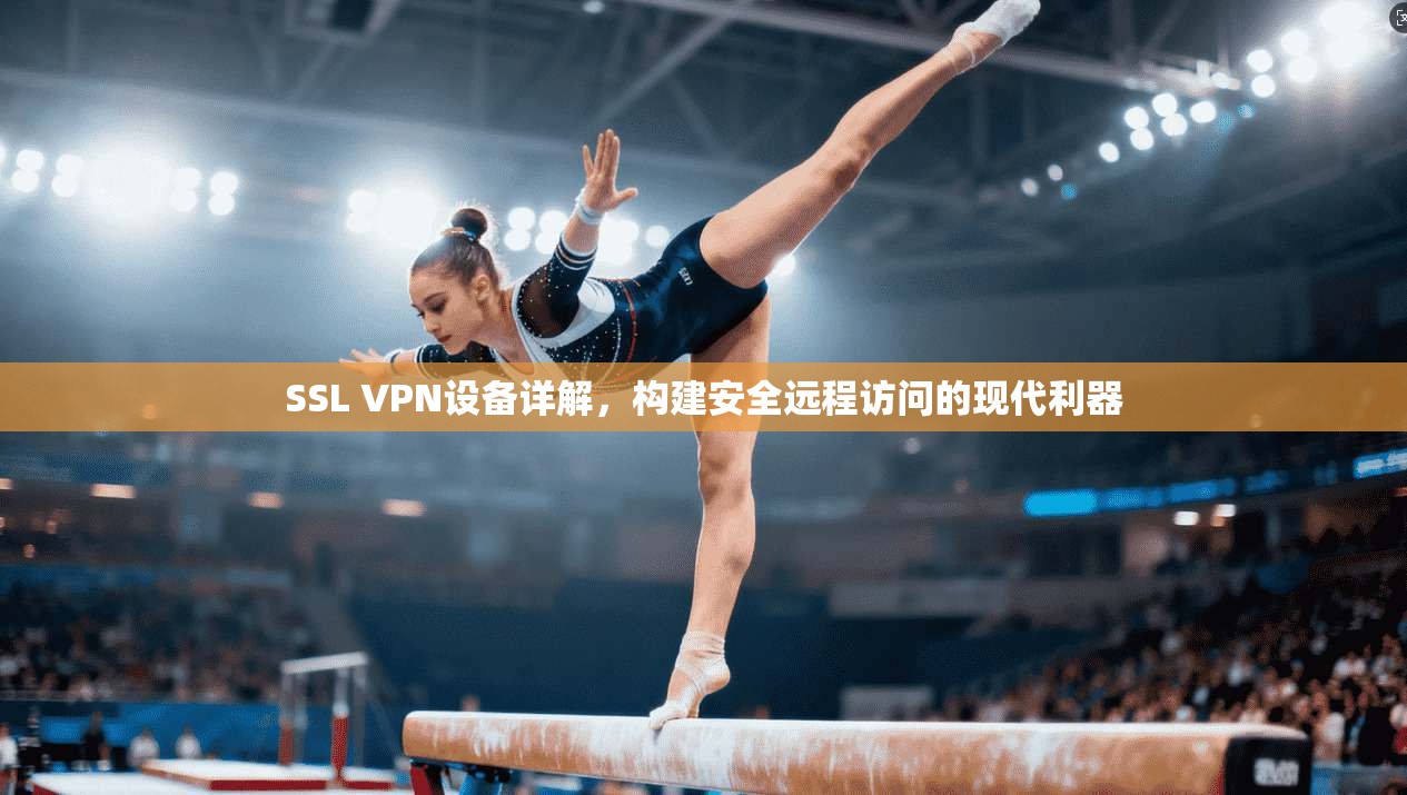 SSL VPN设备详解，构建安全远程访问的现代利器