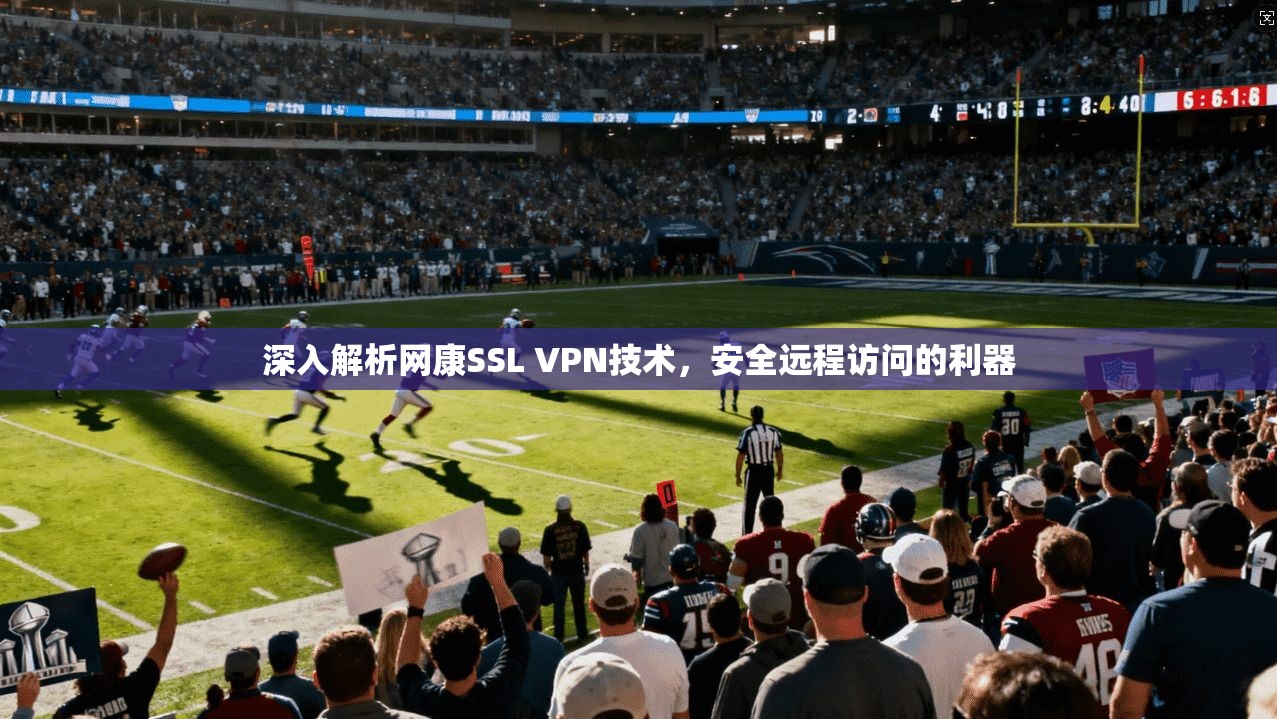 深入解析网康SSL VPN技术，安全远程访问的利器