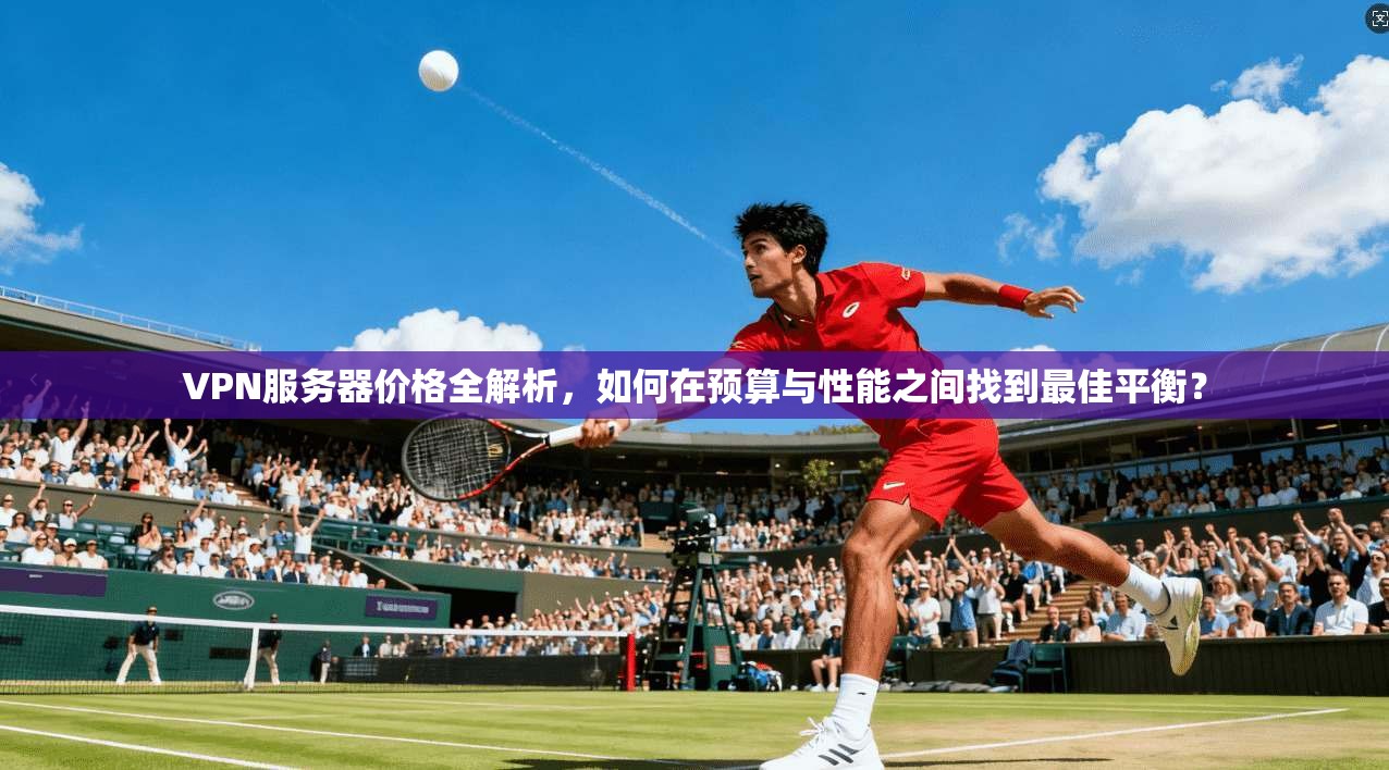 VPN服务器价格全解析，如何在预算与性能之间找到最佳平衡？