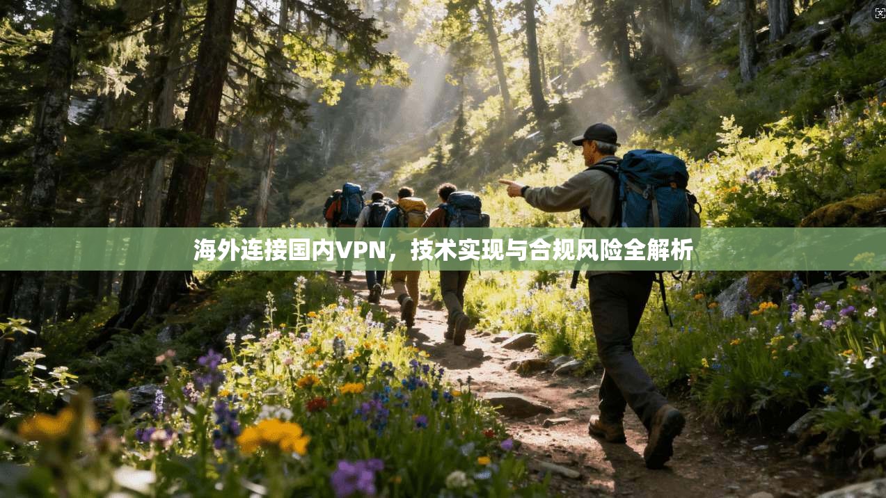海外连接国内VPN，技术实现与合规风险全解析
