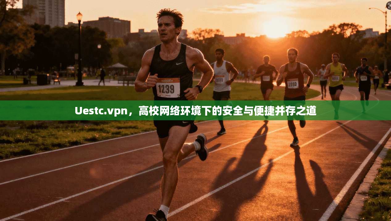 Uestc.vpn，高校网络环境下的安全与便捷并存之道
