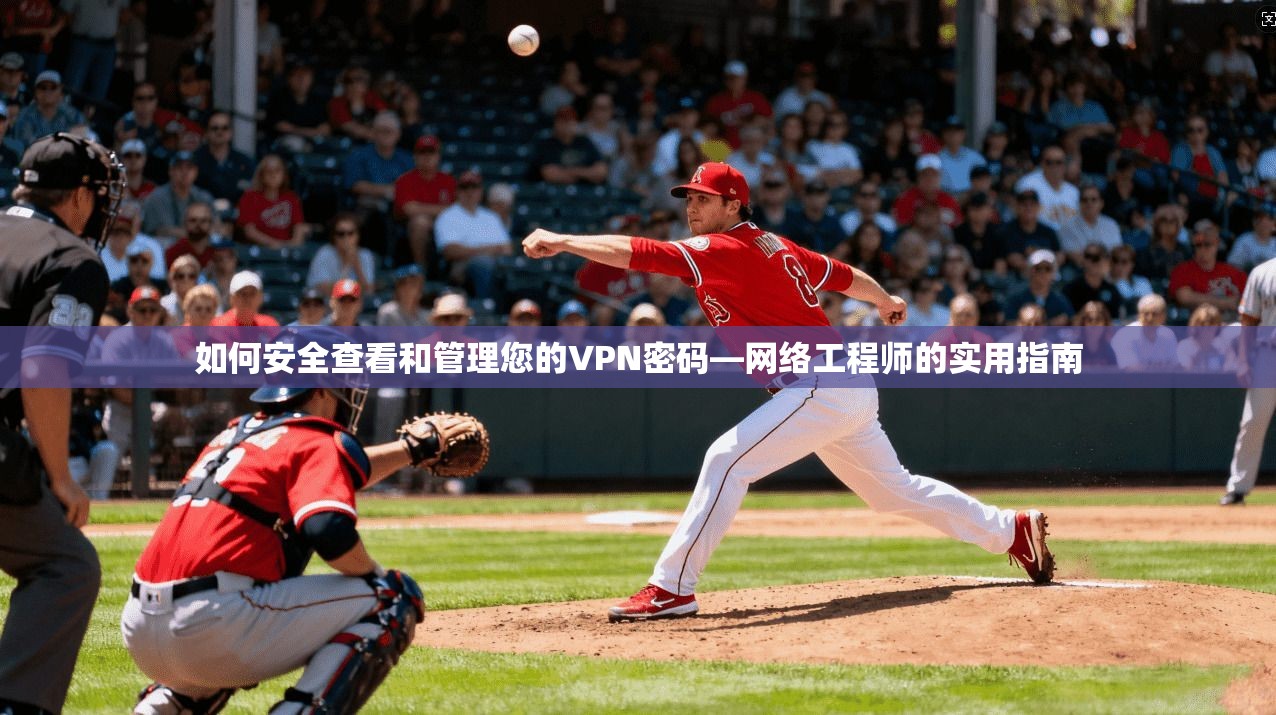 如何安全查看和管理您的VPN密码—网络工程师的实用指南