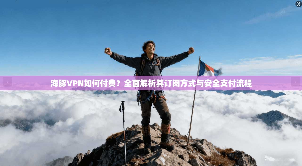 海豚VPN如何付费？全面解析其订阅方式与安全支付流程