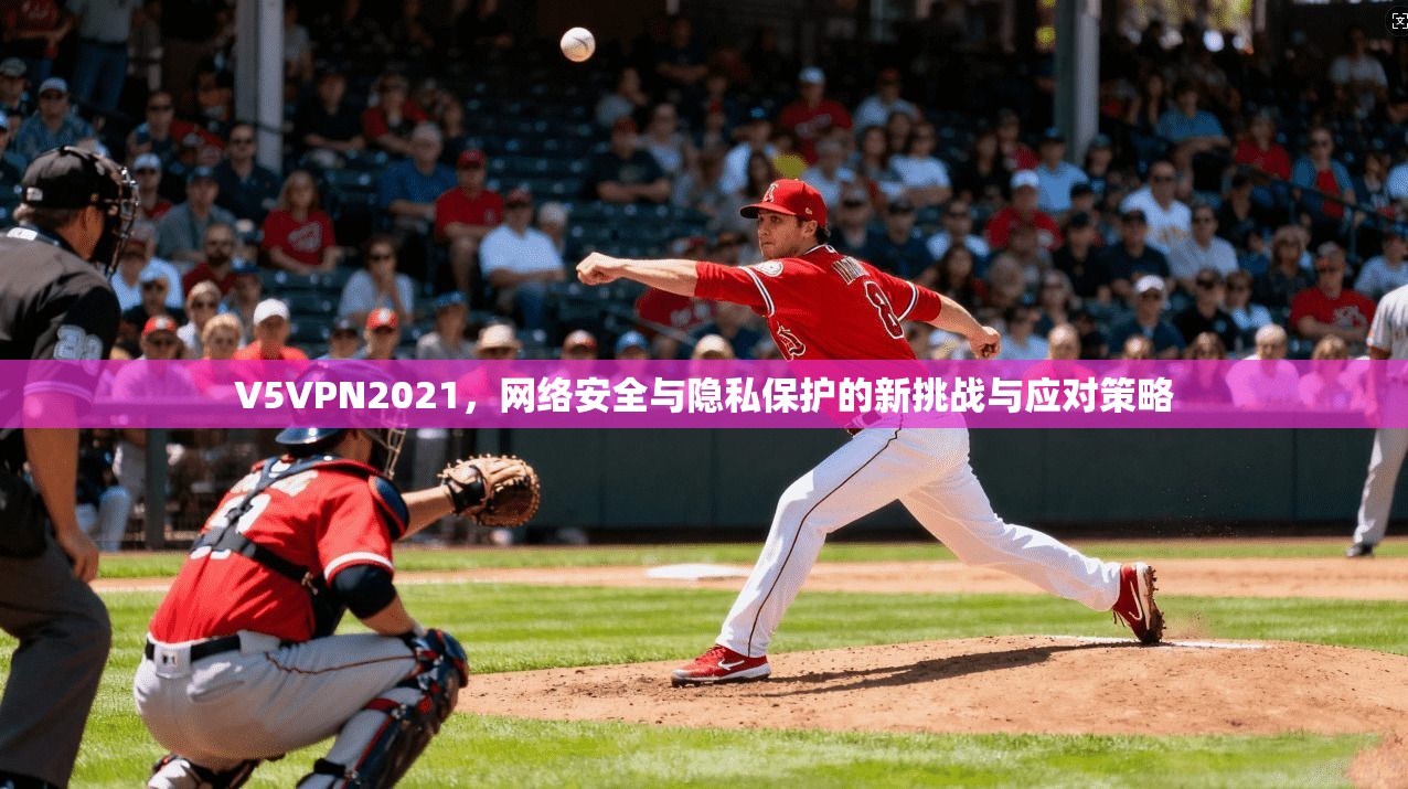 V5VPN2021，网络安全与隐私保护的新挑战与应对策略