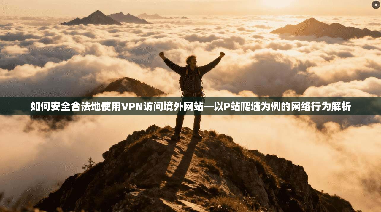 如何安全合法地使用VPN访问境外网站—以P站爬墙为例的网络行为解析