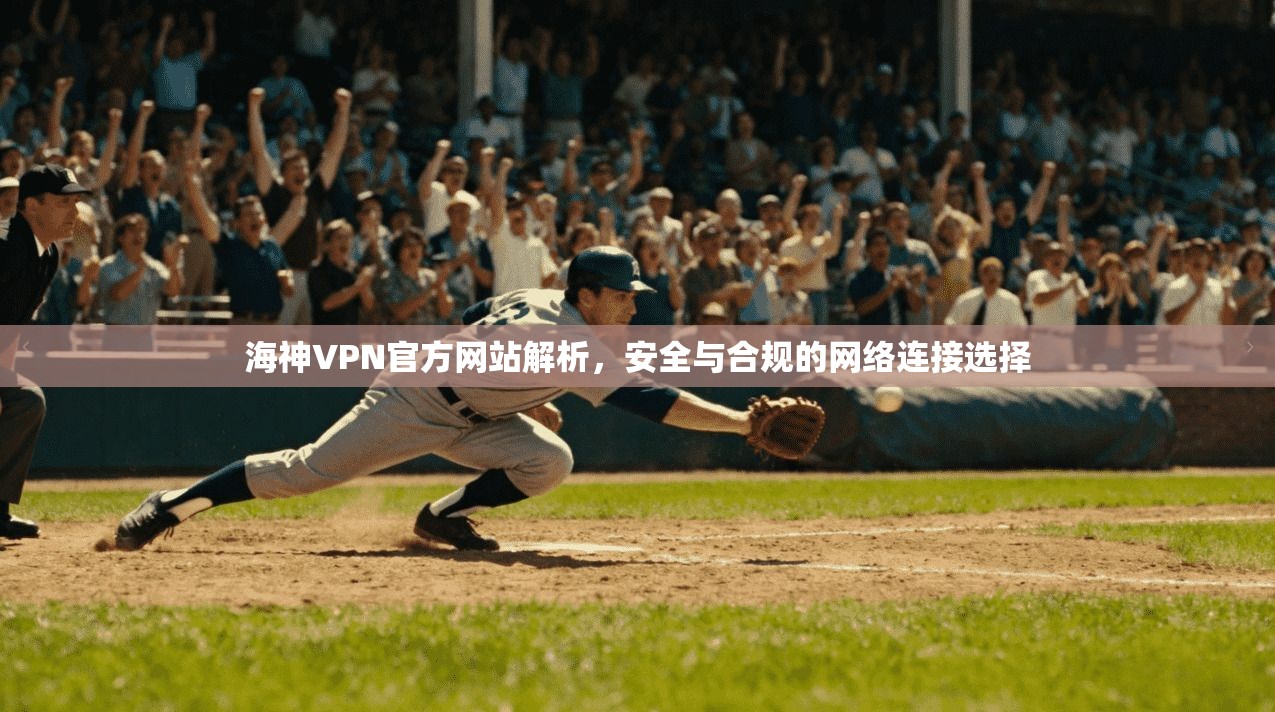 海神VPN官方网站解析，安全与合规的网络连接选择