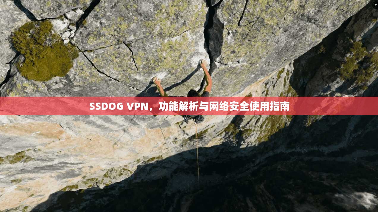 SSDOG VPN，功能解析与网络安全使用指南