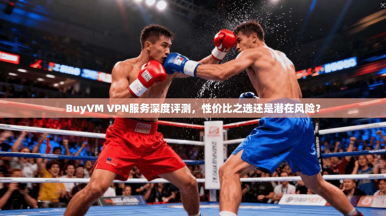 BuyVM VPN服务深度评测，性价比之选还是潜在风险？