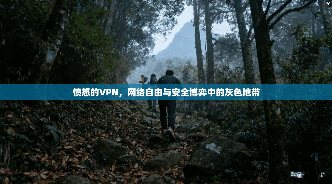 愤怒的VPN，网络自由与安全博弈中的灰色地带