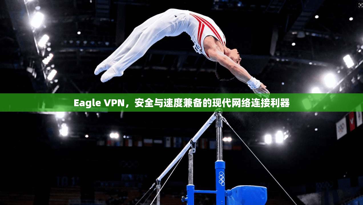 Eagle VPN，安全与速度兼备的现代网络连接利器