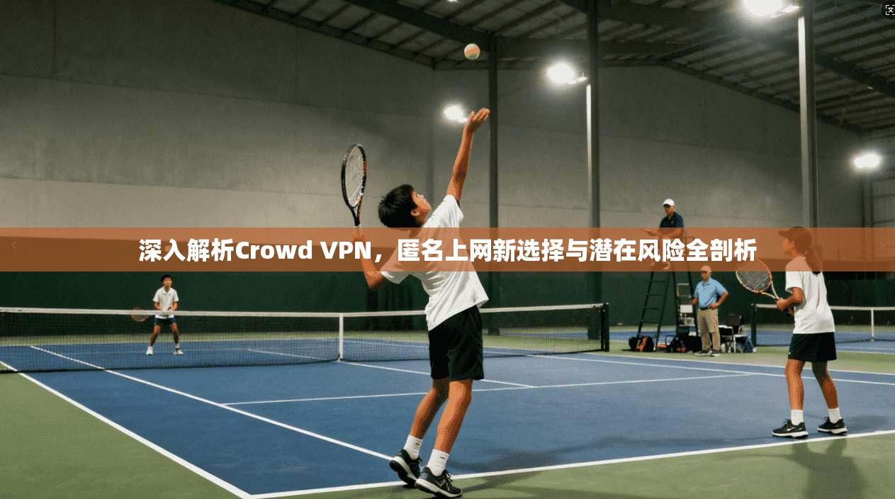 深入解析Crowd VPN，匿名上网新选择与潜在风险全剖析