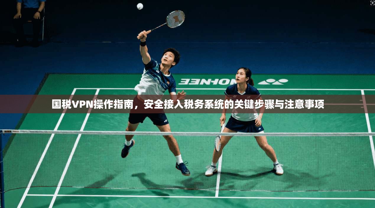 国税VPN操作指南，安全接入税务系统的关键步骤与注意事项