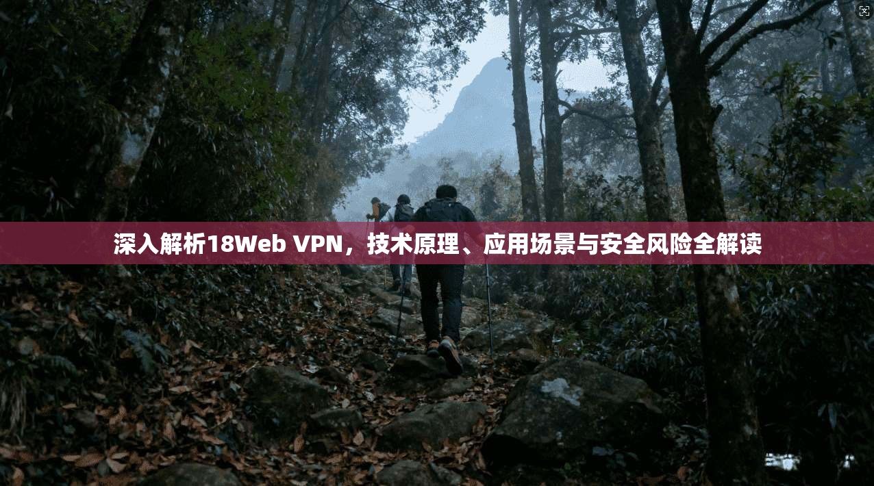 深入解析18Web VPN，技术原理、应用场景与安全风险全解读