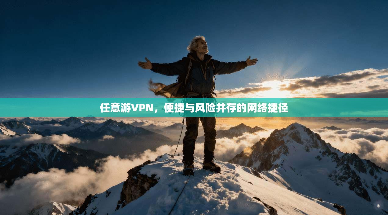 任意游VPN，便捷与风险并存的网络捷径