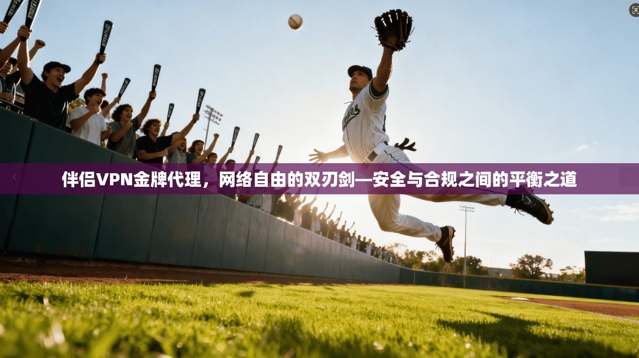 伴侣VPN金牌代理，网络自由的双刃剑—安全与合规之间的平衡之道