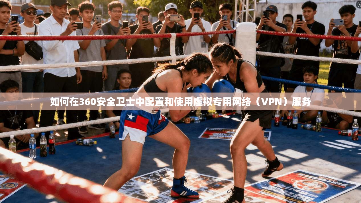 如何在360安全卫士中配置和使用虚拟专用网络（VPN）服务