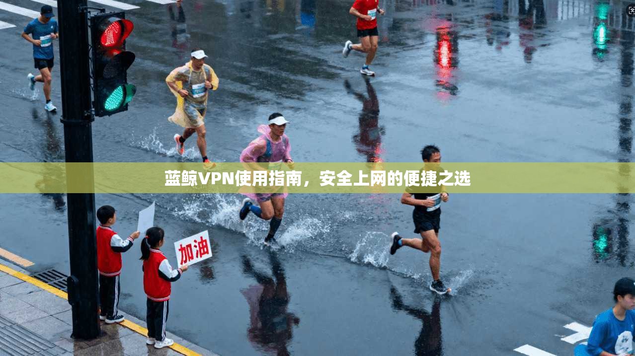 蓝鲸VPN使用指南，安全上网的便捷之选