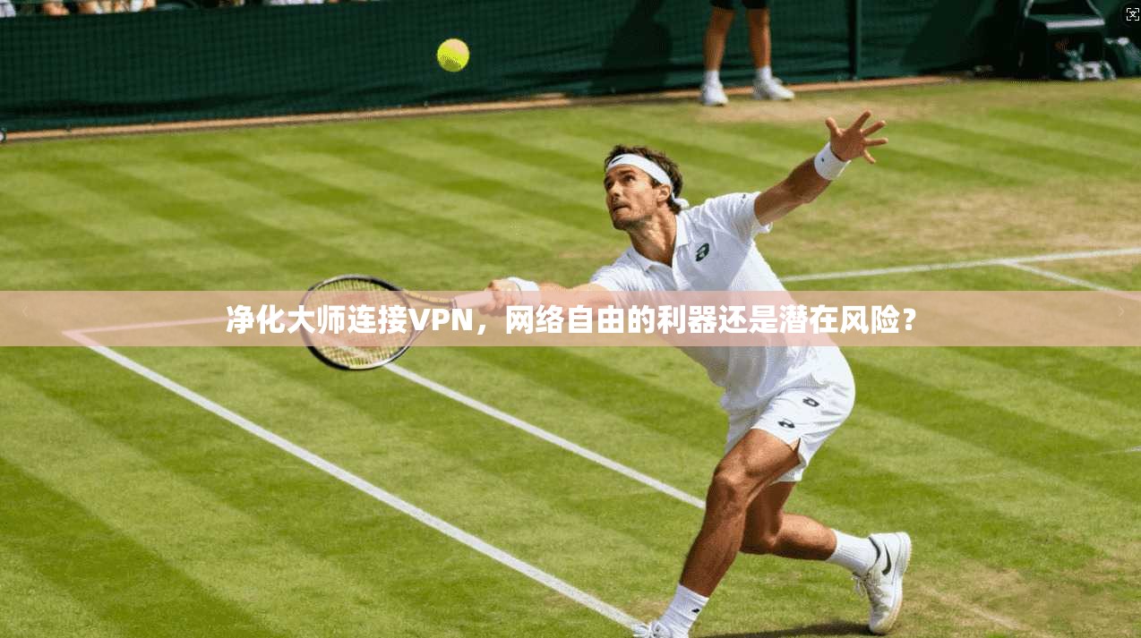 净化大师连接VPN，网络自由的利器还是潜在风险？