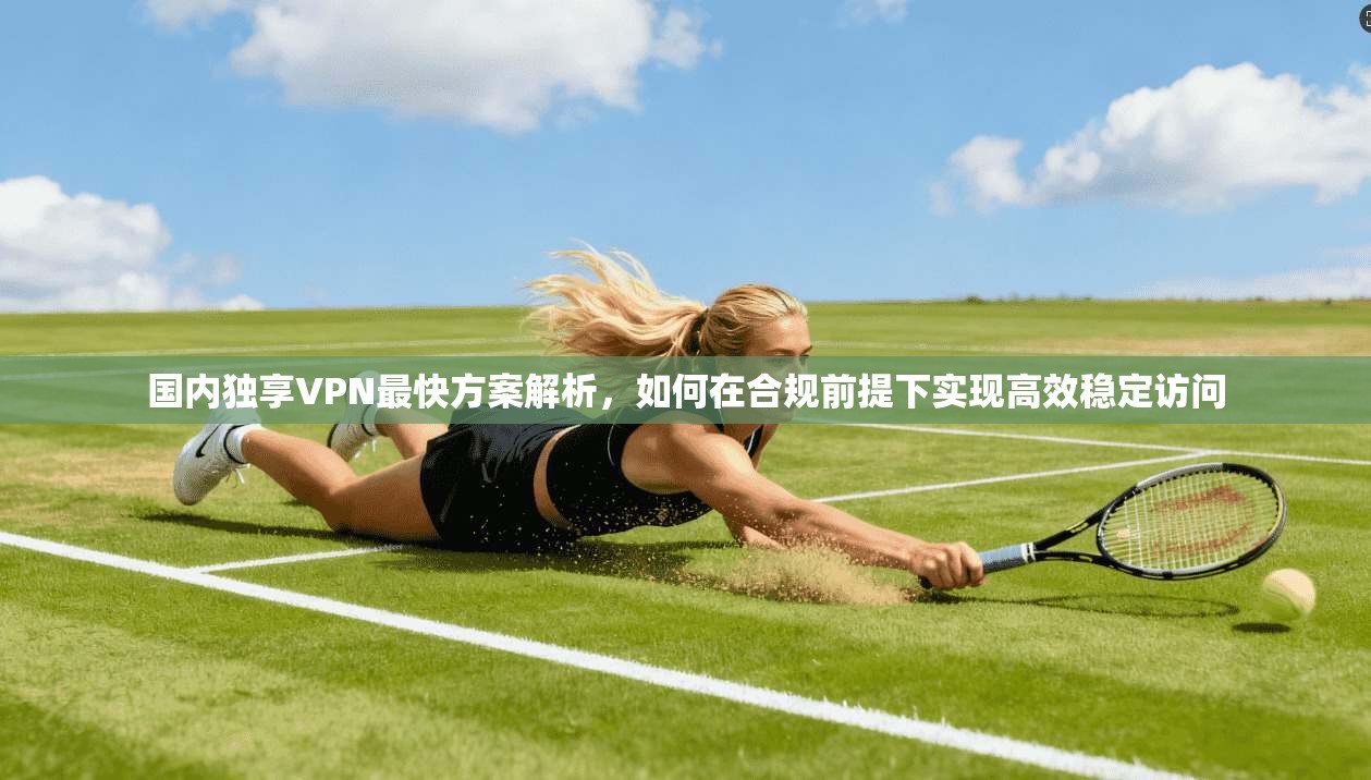 国内独享VPN最快方案解析，如何在合规前提下实现高效稳定访问