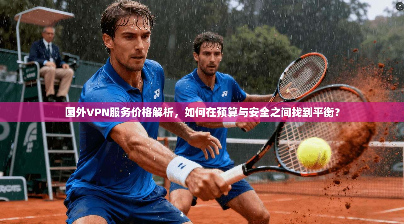 国外VPN服务价格解析，如何在预算与安全之间找到平衡？