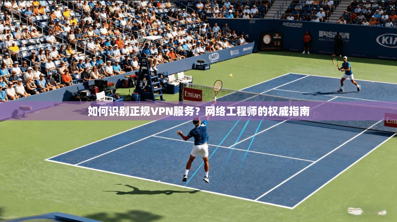 如何识别正规VPN服务？网络工程师的权威指南