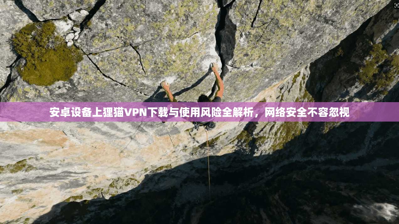 安卓设备上狸猫VPN下载与使用风险全解析，网络安全不容忽视