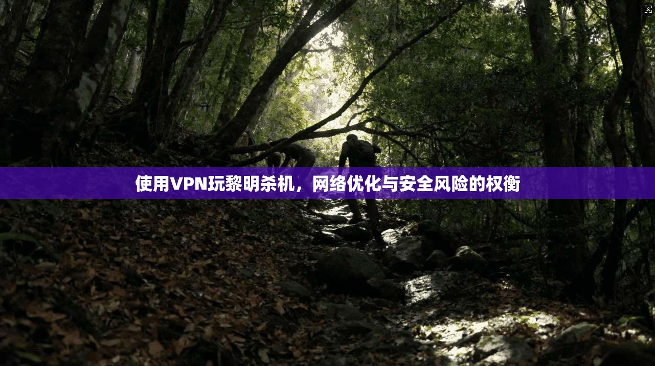 使用VPN玩黎明杀机，网络优化与安全风险的权衡