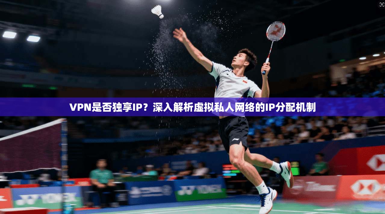 VPN是否独享IP？深入解析虚拟私人网络的IP分配机制