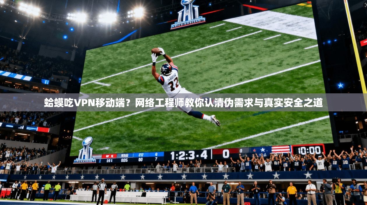 蛤蟆吃VPN移动端？网络工程师教你认清伪需求与真实安全之道