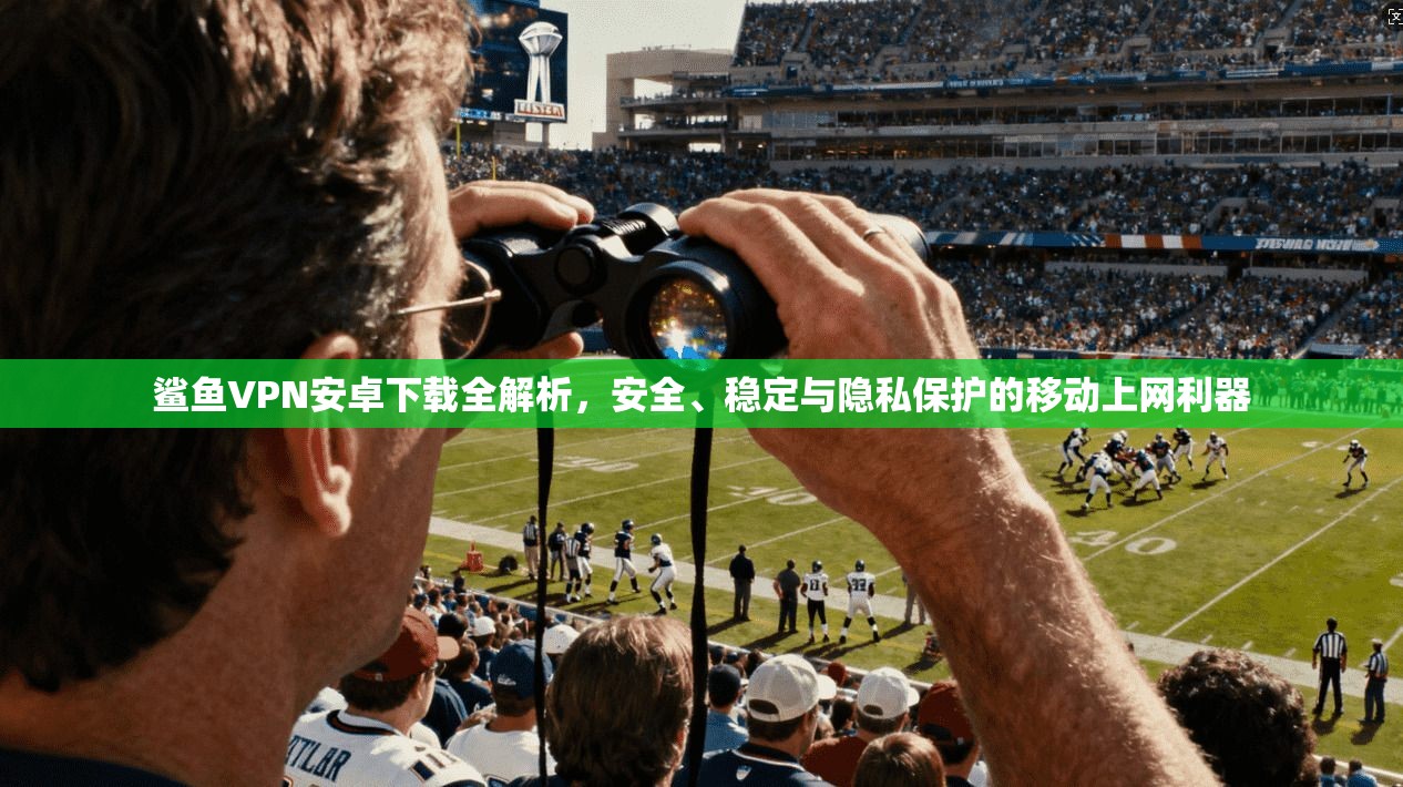 鲨鱼VPN安卓下载全解析，安全、稳定与隐私保护的移动上网利器