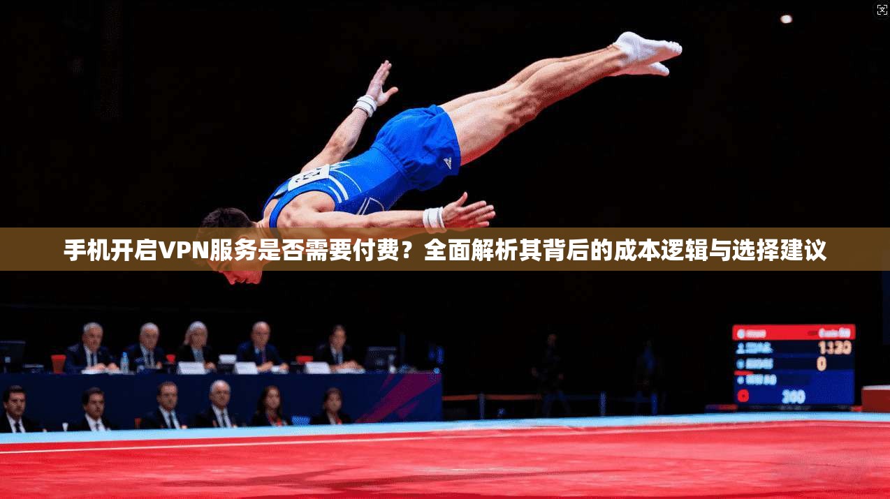 手机开启VPN服务是否需要付费？全面解析其背后的成本逻辑与选择建议