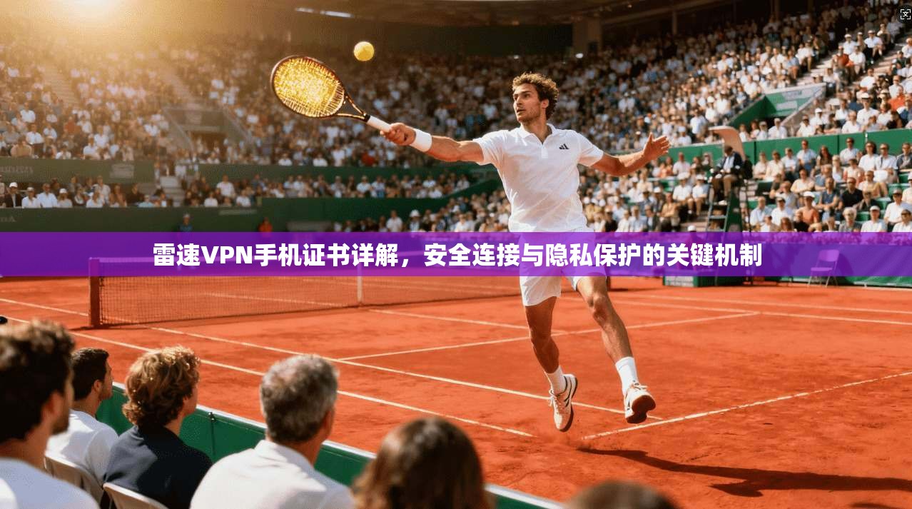 雷速VPN手机证书详解，安全连接与隐私保护的关键机制