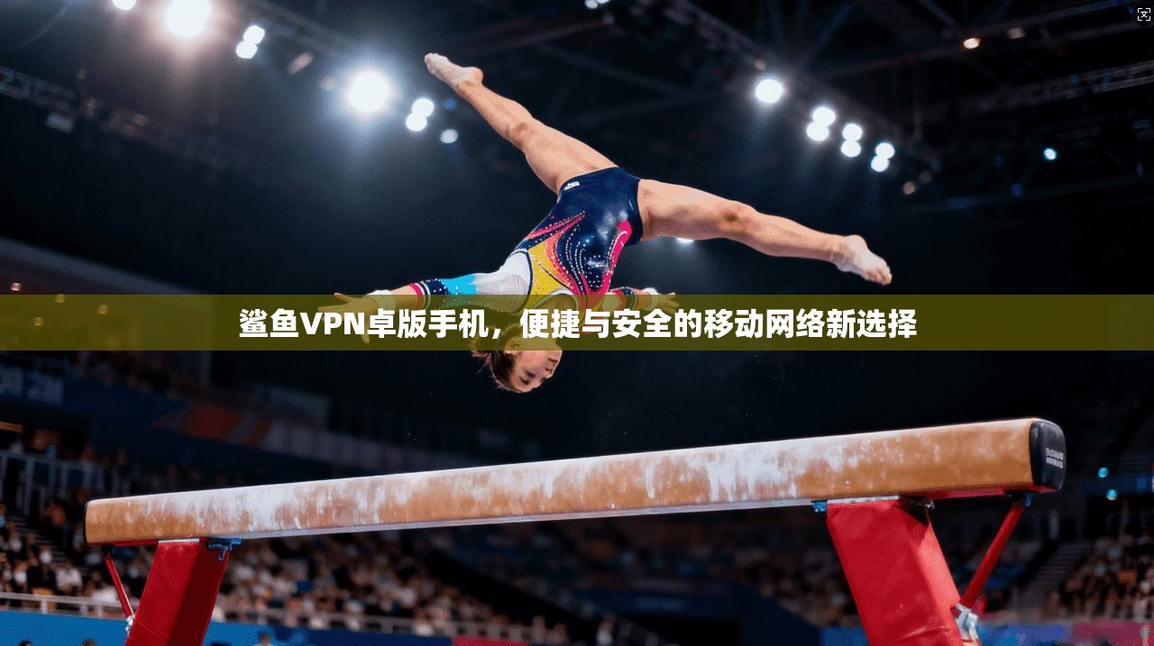鲨鱼VPN卓版手机,便捷与安全的移动网络新选择 鲨鱼VPN卓版手机,便捷与安全的移动网络新选择