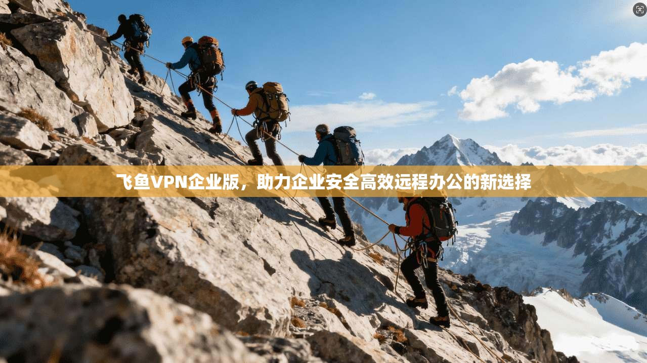 飞鱼VPN企业版，助力企业安全高效远程办公的新选择