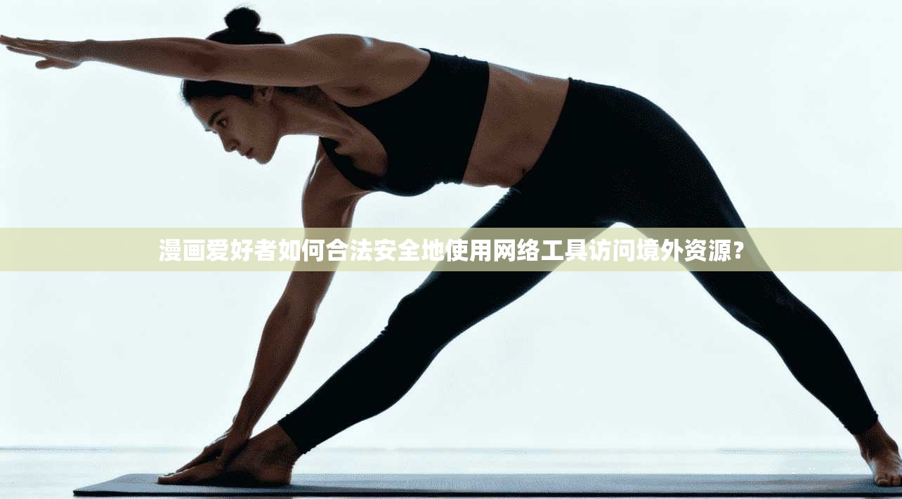 漫画爱好者如何合法安全地使用网络工具访问境外资源？