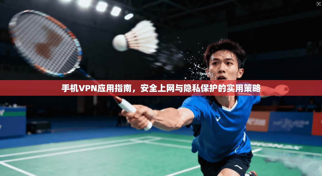 手机VPN应用指南，安全上网与隐私保护的实用策略
