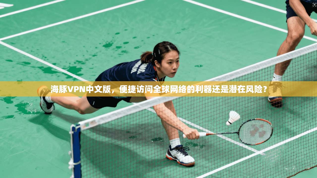 海豚VPN中文版，便捷访问全球网络的利器还是潜在风险？