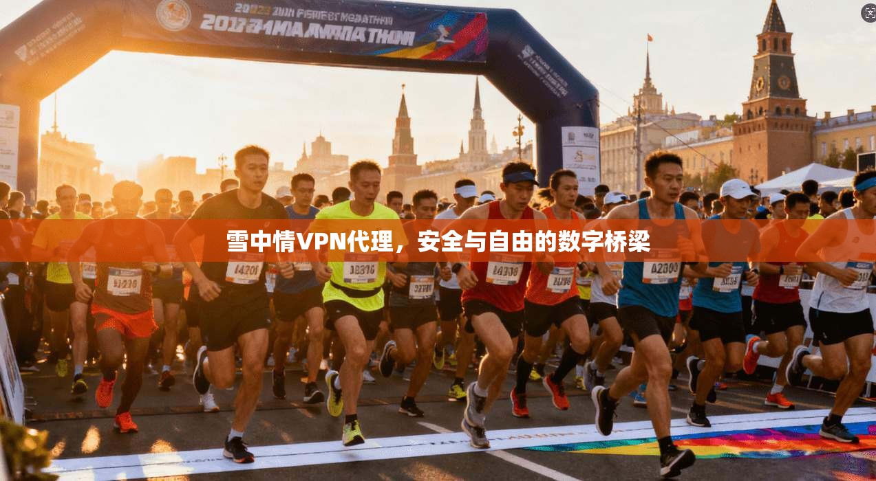 雪中情VPN代理，安全与自由的数字桥梁