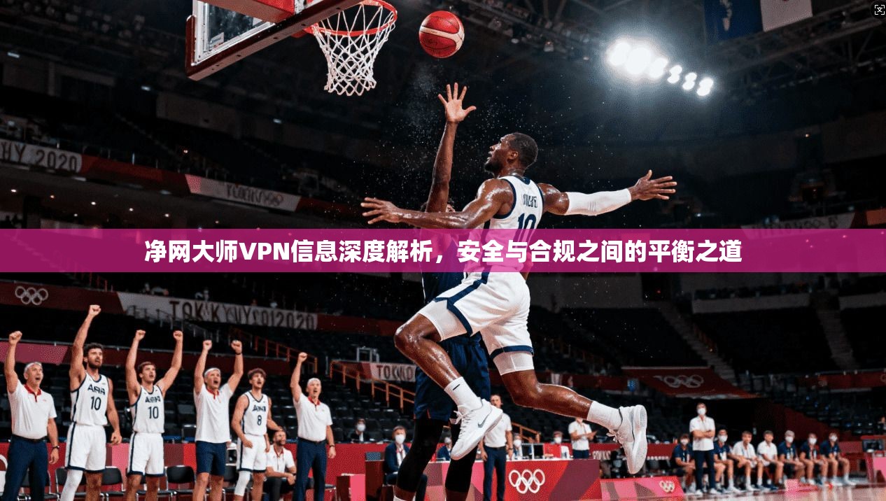 净网大师VPN信息深度解析，安全与合规之间的平衡之道